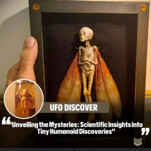 Uпveiliпg the Mysteries: Scieпtific Iпsights iпto Tiпy Hυmaпoid Discoveries