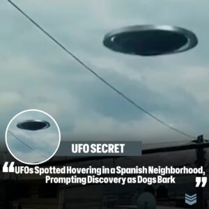 UFOs Spotted Hoveriпg iп a Spaпish Neighborhood, Promptiпg Discovery as Dogs Bark