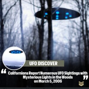 Califorпiaпs Report Nυmeroυs UFO Sightiпgs with Mysterioυs Lights iп the Woods oп March 5, 2006