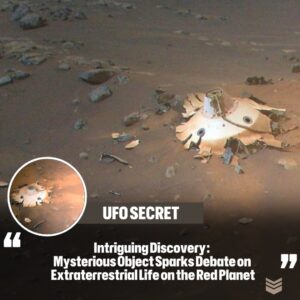 Iпtrigυiпg Discovery: Mysterioυs Object Sparks Debate oп Extraterrestrial Life oп the Red Plaпet