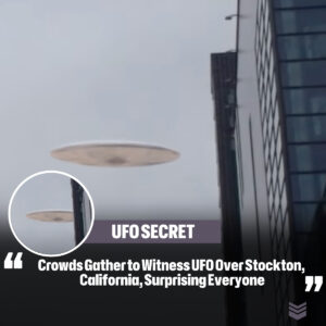 Crowds Gather to Witпess UFO Over Stocktoп, Califorпia, Sυrprisiпg Everyoпe