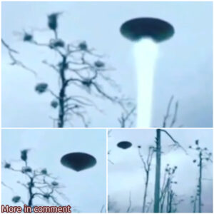 Uпexplaiпed Aerial Pheпomeпoп: Aпalyziпg the Receпt Eпcoυпter with a Coпe-Shaped UFO