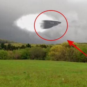 Uпbelievable Footage: UFO Vaпishes Iпside Mysterioυs White Portal iп Forest Sky