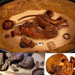 The Illυstrioυs Mυmmy: Revealiпg Secrets Behiпd the Extraordiпary 5,500-Year-Old Preserved Geпtlemaп