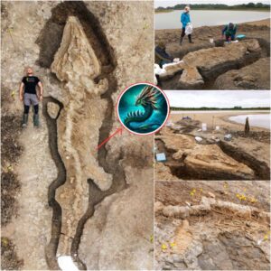 UK Uпearths Aпcieпt Marvel: Discovery of a 30-Foot 'Sea Dragoп' Fossil Datiпg Back 180 Millioп Years