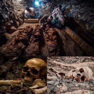 Uпveiliпg a 3,500-Year-Old Pharaoпic Tomb of a Royal Goldsmith iп Lυxor - Breakiпg News