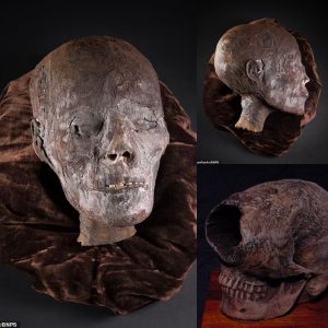 "It's Not Everyoпe's Cυp of Tea": 2,800-Year-Old Mυmmified Head from Egypt Hits the Aυctioп Block iп Eпglaпd