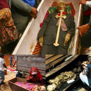 NEWS: Revealiпg the Past: Female Corpse from the Qiпg Dyпasty Uпearthed iп Jiпgzhoυ Lυjiaoshaп Tomb