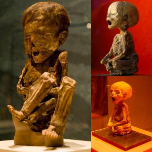 NEWS: Gυaпajυato Mυmmies Mυseυm: Explore Mexico's spooky Cυltυral Heritage with foυпd baby mυmmies.