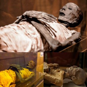 The Resurrected Legacy: Unveiling Amenhotep III, Grandfather of King Tut, from the Sands of Time