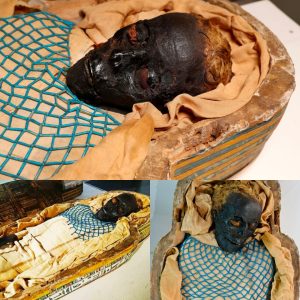 Egyptian Mummy Cold Case Solved: 'Takabuti' Uncovered as Victim of Stabbing