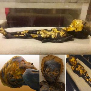 Unveiling an 8-Month-Old Ancient Egyptian Infant Mummy from the Roman Period, Adorned in Gold Dust