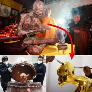 Captivating Reverence: Mummification and Gilded Adornment of a Venerated Chinese Buddhist Monk - Breaking News