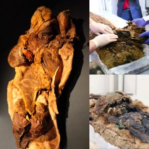 Unveiling Ancient Mysteries: Remarkable Discovery of a Copper-Clad Mummy Wrapped in Finest Fur, Revealing 1,300-Year-Old Links to an Unknown Civilization with Astonishing Connections to Persia - Breaking News