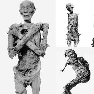 Revealing Royal Enigmas: Mummy Found in Majestic Pose for the Egyptian Mummy Project Unearths Clues Reflecting the Stature of Ancient Royal Women. A Step Closer to Unraveling the Mysteries of Egypt's Queens - Breaking News