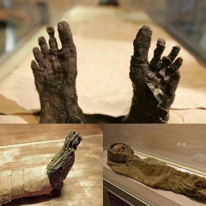 Ancient Enigma Revealed: Mummy's Feet Emerge from the Sands of Saqqara After 3,500 Years! - Breaking News