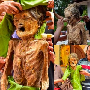 Indonesia's Ma'nene Festival: Deceased Ancestors Return to Reunite with Relatives - Latest News