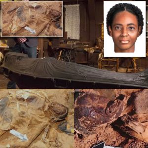 Unveiling the Mystery: Identity Revealed of Woman Buried in a 150-Year-Old Iron Coffin in New York - Latest News