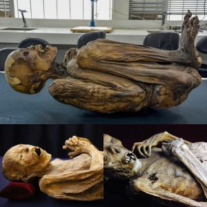 The Enigma of San Bernardo's 'Natural Mummies': Over a Dozen Exceptionally Well-Preserved Bodies Puzzle Experts, Defying Explanation - Latest News