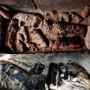 Uncovering Ancient Treasures: Archaeologists Find Mummified Cats in 4,500-Year-Old Tombs Near Egyptian Pyramids - Latest News