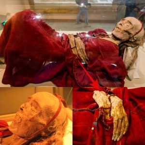 Unlocking the Enigma of Ancient Tarim Mummies: An Intriguing Exploration - NEWS