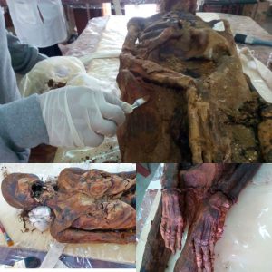 Reviving the Past: Restoration of Seven Mummified Remains from the El-Mezawa Necropolis Provides Insights into Their Intricate Lifestyles