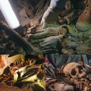 4,000 Years Ago in Egypt: Dozens of Men Mummified and Buried Together in Cliffs Near Luxor After Fatal Injuries - NEWS