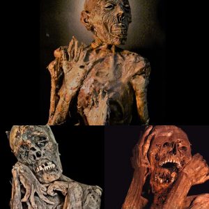 Chachapoya mummy found in Uchucmarca area