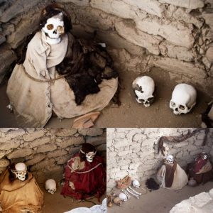 Unlocking Ancient Mysteries: Revealing the Secrets of Peru's Long-Dreadlocked Mummies in Chauchilla Cemetery - Breaking News