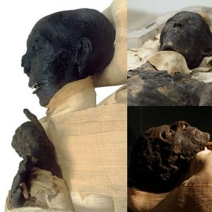 The Mummy of Thutmose III: Reigning in the New Kingdom, 18th Dynasty, 1479-1425 BC - Breaking Discovery