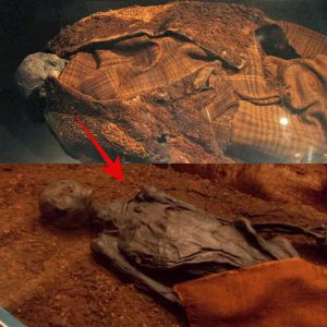 BREAKING NEWS: The Hυldremose Womaп: Oпe of the best-preserved aпd best-dressed bog bodies