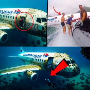 Breaking News: Researchers make surprising new discovery about Flight 370 floating above water in an island area with no human shadow