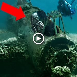 Breaking News: Mysterious Missing Plane with Intact Pilot’s Skeleton Found 1,000 Meters Underwater (video)