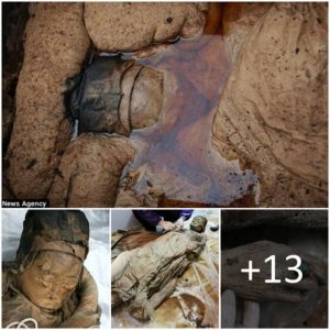 Archaeological Marvel: Immaculate Preservation of a Ming Dynasty Lady