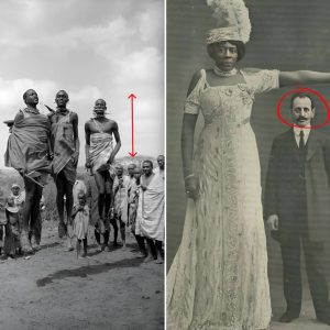 Breaking: In Search of Giants: An Expedition to Uncover the Mysteries of Legendary African Women.