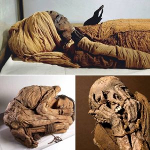 Breaking: Unveiling the Secrets of the Chimu Civilization: Insights from a Fetal Mummy.