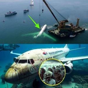 Breaking: Unraveling the Enigma of Malaysian Flight 370: Insights from the Bermuda Triangle and Beyond.