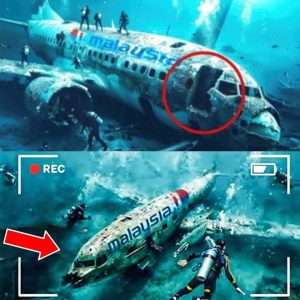 Breaking News: Plane MH370 Lost In 2014, Suddenly Found in 2024. Is The Mystery Finally Solved?