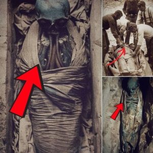 Breaking News: Global Fascination: Discovery of Unknown Alien Skeleton Sparks Investigation