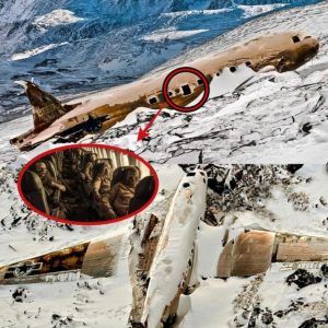 Breaking: Decades-Old Missing Plane Discovered: Researchers Astonished by Unbelievable Findings Inside