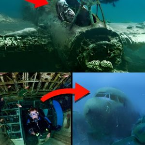 Unbelievable Find: Intact Pilot’s Skeleton Discovered in Missing Plane 1,000 Meters Underwater.