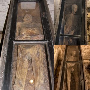 Breaking: Ancient Enigma Unveiled: The Mysterious Mummy Vault of Wiewert, Netherlands.