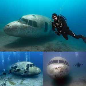 Breaking: Strange deep-sea footage of a sunken passenger plane suspected of being missing MH370 for the past 11 years.