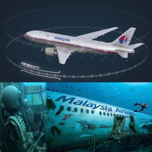 Breaking: 11 years of hopeless search for MH370 - the world's most mysterious flight.