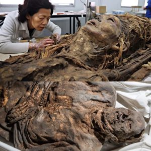 Breaking News: Echoes of History: Scientists Discover 20-Million-Year-Old Frozen Mummy in Ice