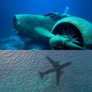 Breaking: Groundbreaking Revelation: Discovery of MH370 Debris Sparks Renewed Hope and Potential Unveiling of Long-Lost Flight.