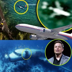 HOT NEWS: Major Breakthrough: Researchers Discover Flight MH370 Using Elon Musk's Satellite Technology.