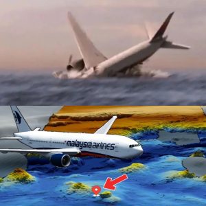 Breaking News: MH370 Exposed: New Discovery Could Unveil the Long-Sought Fate of the Missing Flight.