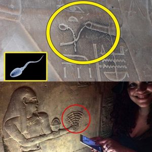 BREAKING NEWS: Journey Through the Impossible: The Mysteries of Ancient Egyptian Technology Revealed.