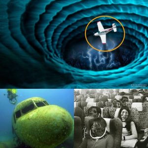 Breaking News: U.S. Navy Flight 19 Discovered in Bermuda Triangle - Mystery Finally Solved! (VIDEO)